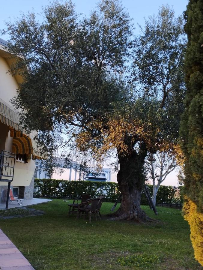 Magnolia House Scanzano Jonico Exterior foto